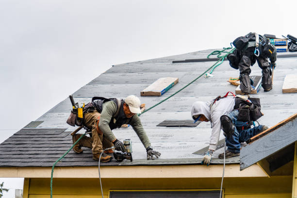 Professional Roofing technician working in Cumberland, IA